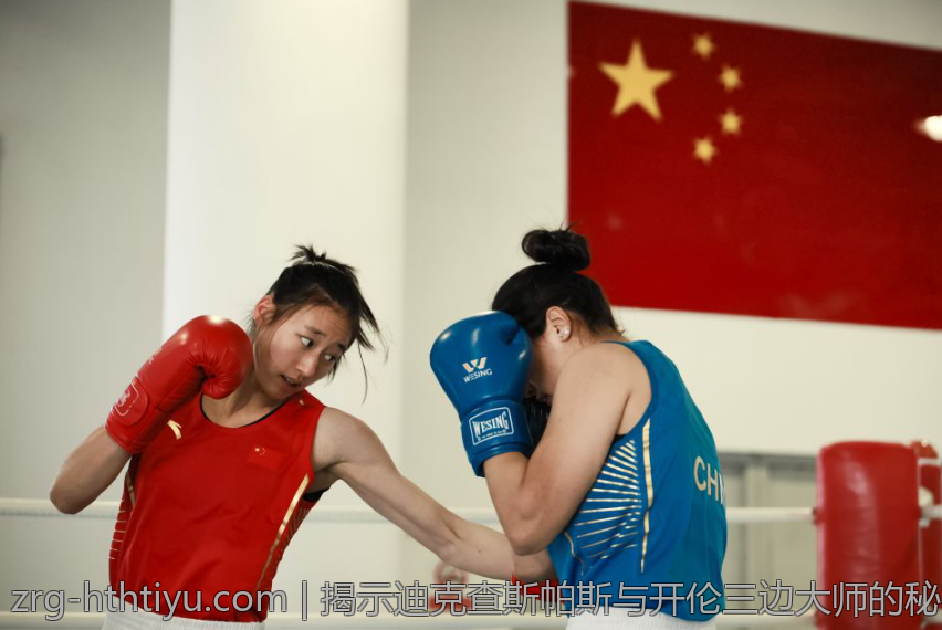 哈里凯恩在德甲联赛中的总得分表现汇总